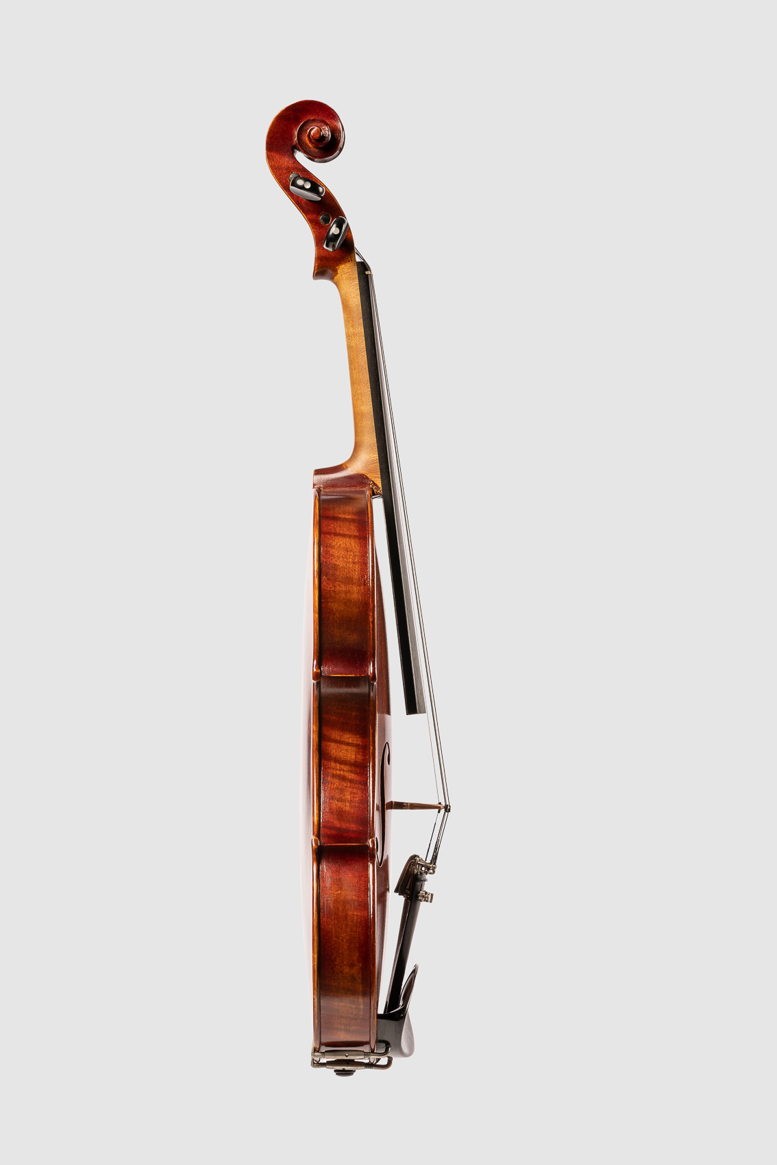 Geige bzw. Bratsche, Streichinstrument von der Seite. Freisteller, Packshoot.