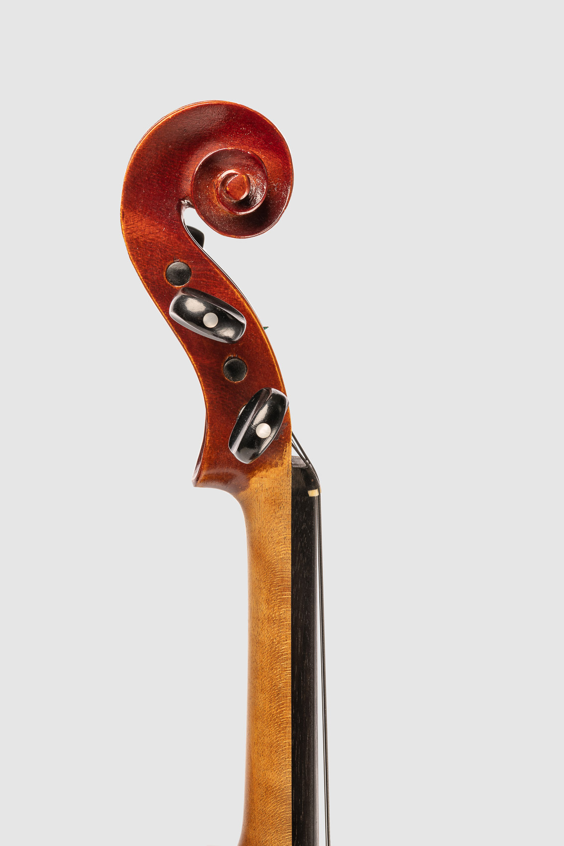 Geige bzw. Bratsche, der Hals des Streichinstrumentes von der Seite. Freisteller, Packshoot.