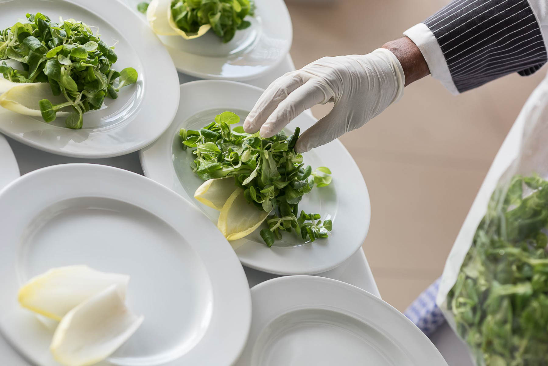 Blattsalat wird auf den Tellern mit Handschuhen dekoriert.