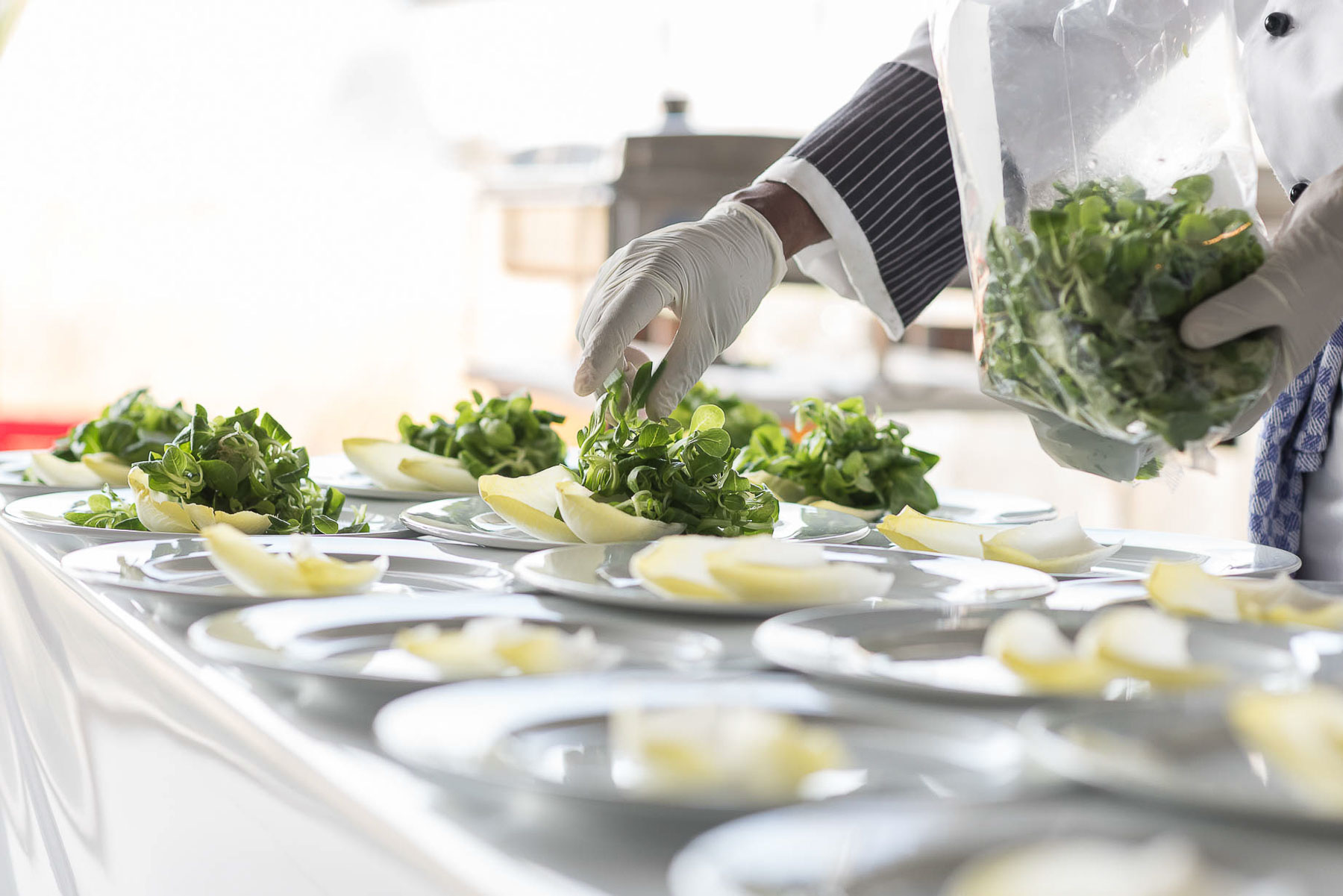 Blattsalat wird auf den Tellern mit Handschuhen dekoriert.