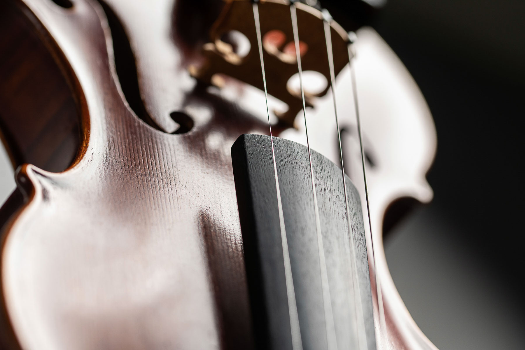 Eine Geige bzw. Violine vor grauem Hintergrund im Fotostudio fotografiert
