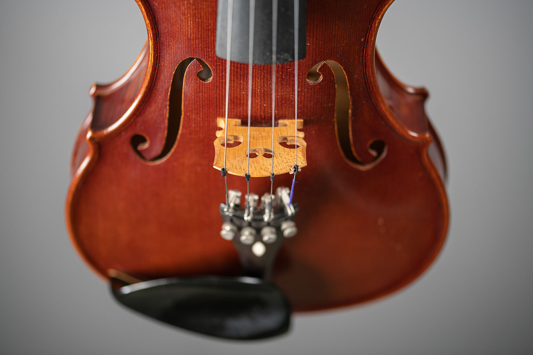 Eine Geige bzw. Violine vor grauem Hintergrund im Fotostudio fotografiert. Der Steg der Geige im Detail.