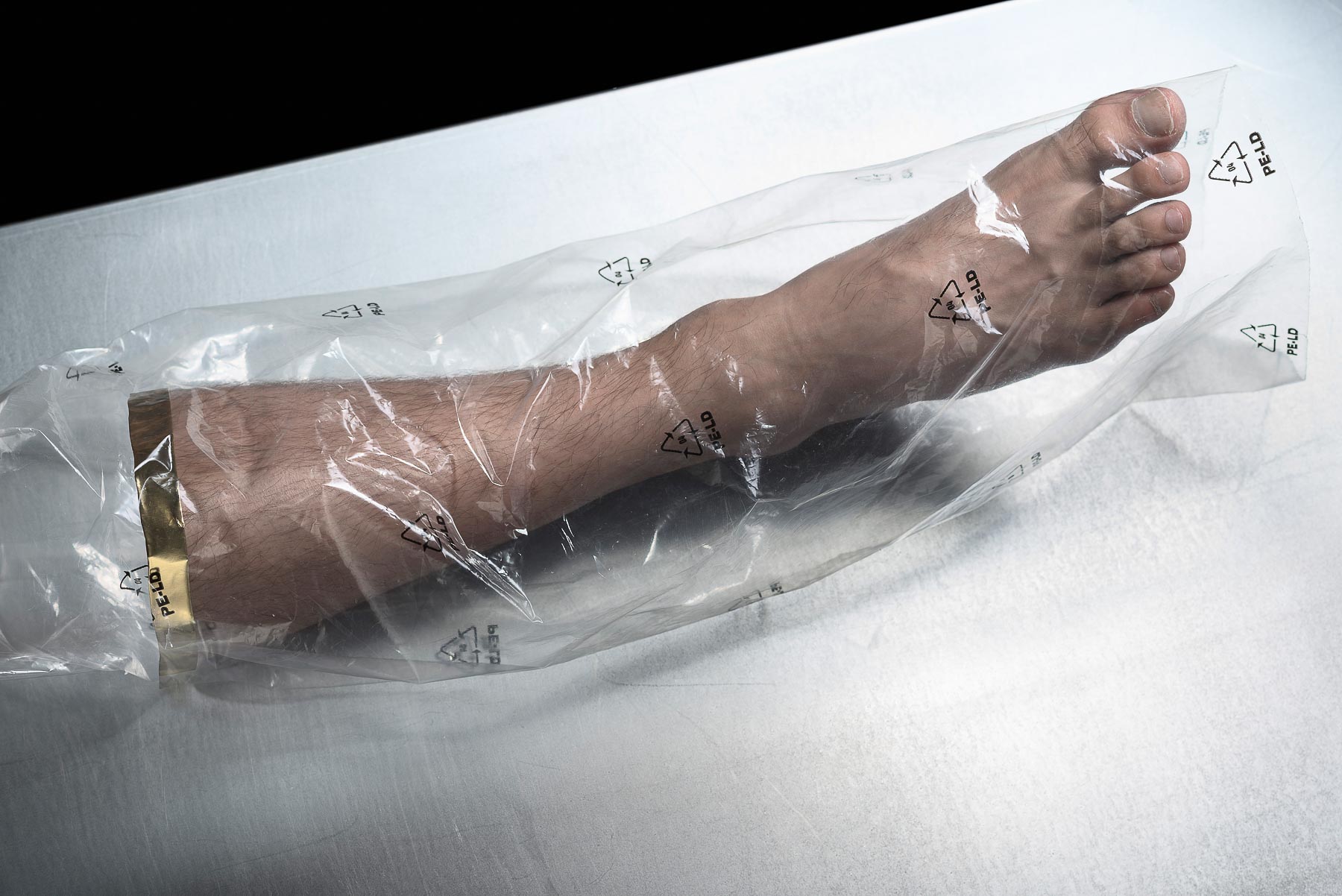 Ein menschlicher Fuß als Ersatzteil. Eine Protese der Biotechnologie der Zukunft? Science fiction